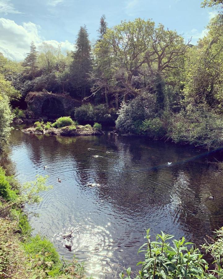 River'S Edge Bed & Breakfast Glengarriff Luaran gambar